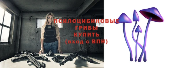прущая мука Гусев