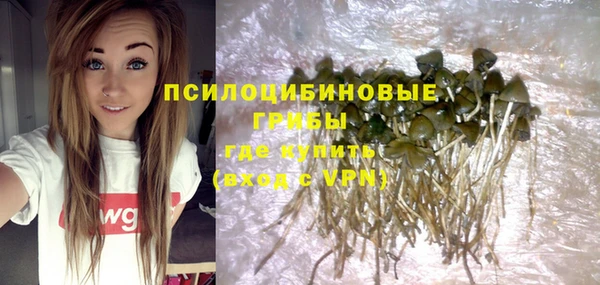прущая мука Гусев