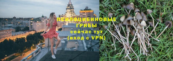 соль курить ск Гусь-Хрустальный