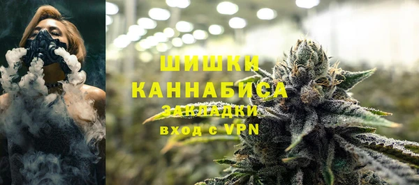 прущая мука Гусев
