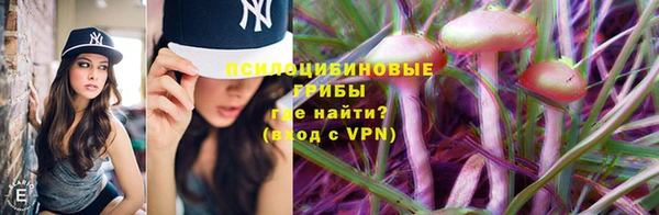 соль курить ск Гусь-Хрустальный